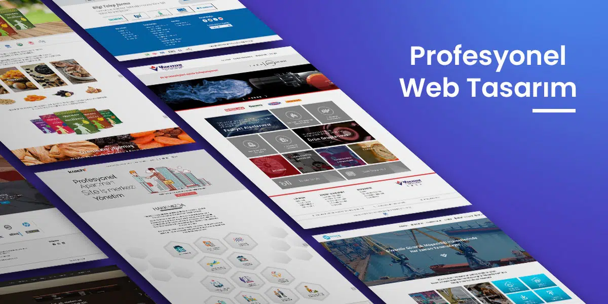 Profesyonel Web Tasarım