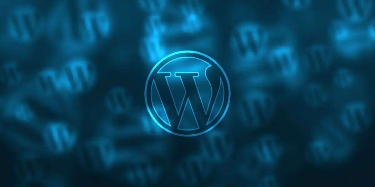 WordPress Ajansı