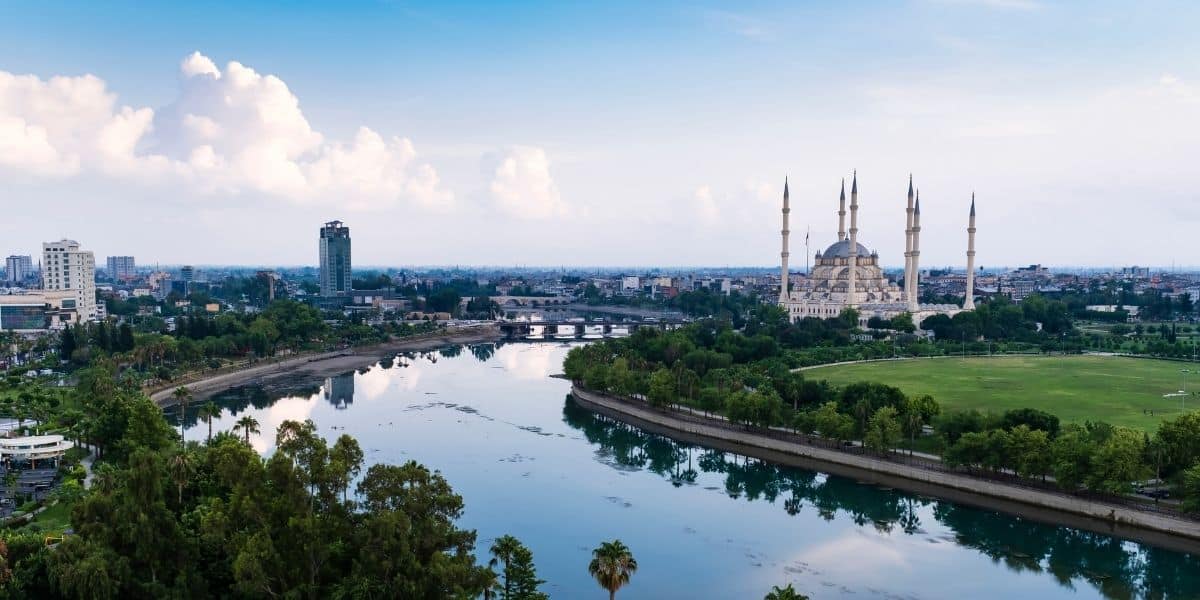 adana google ads yönetimi