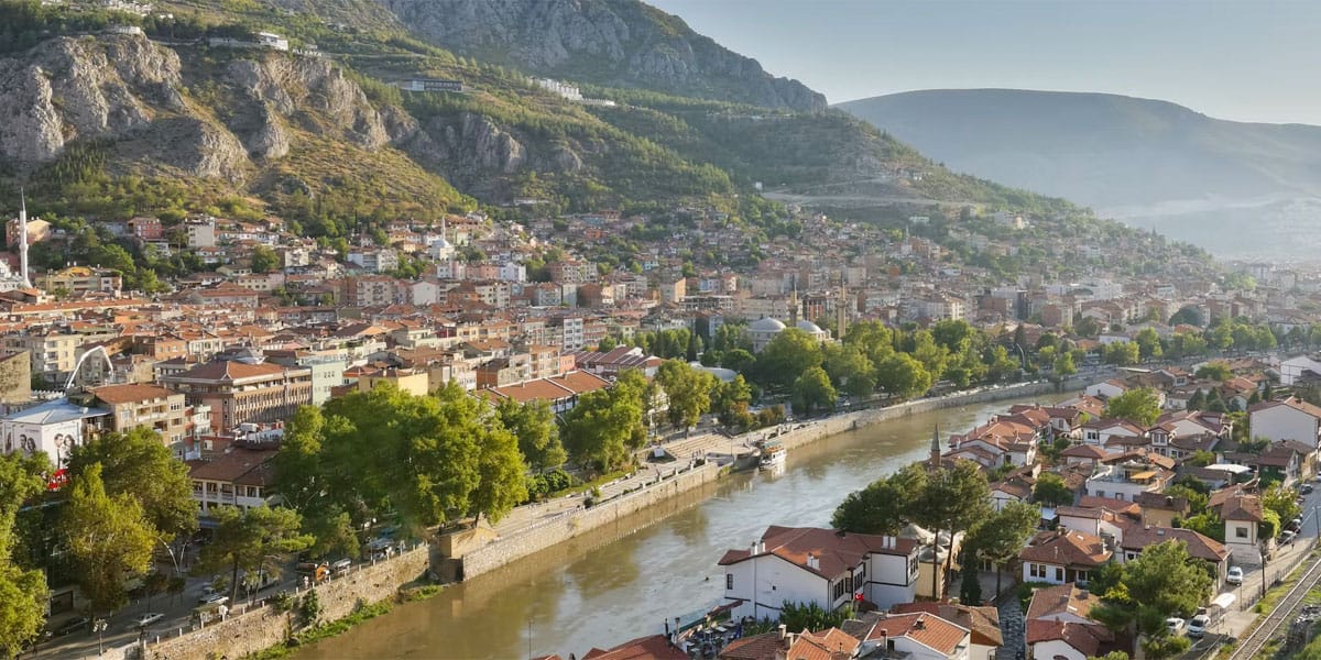 amasya sosyal medya yönetimi