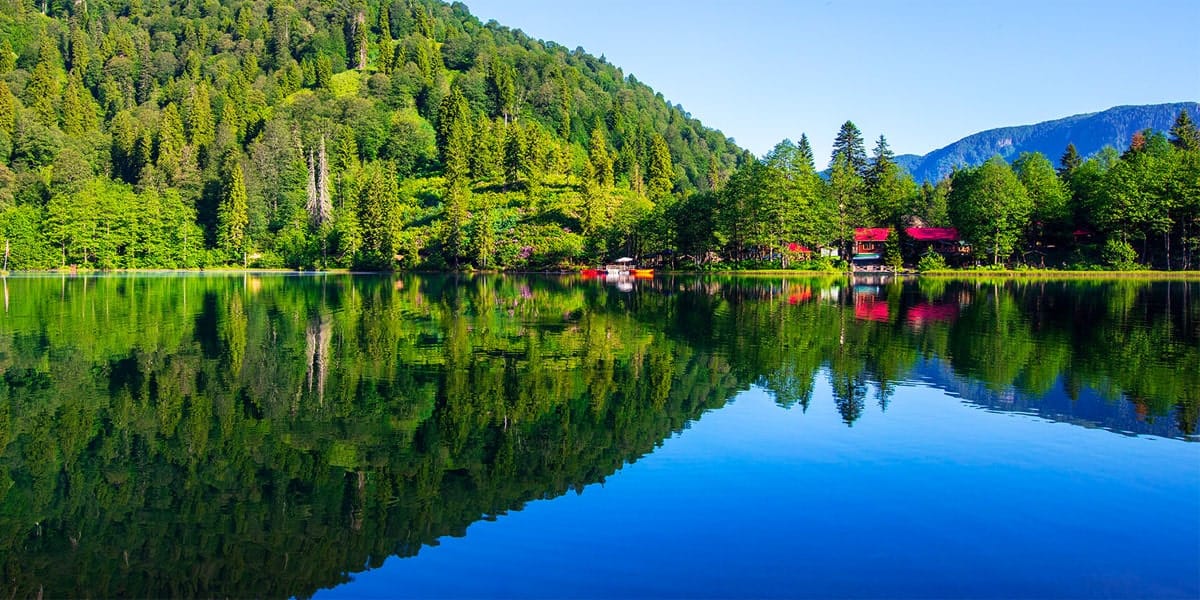 artvin sosyal medya yönetimi