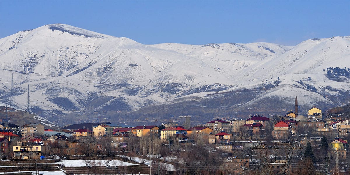 bitlis sosyal medya yönetimi