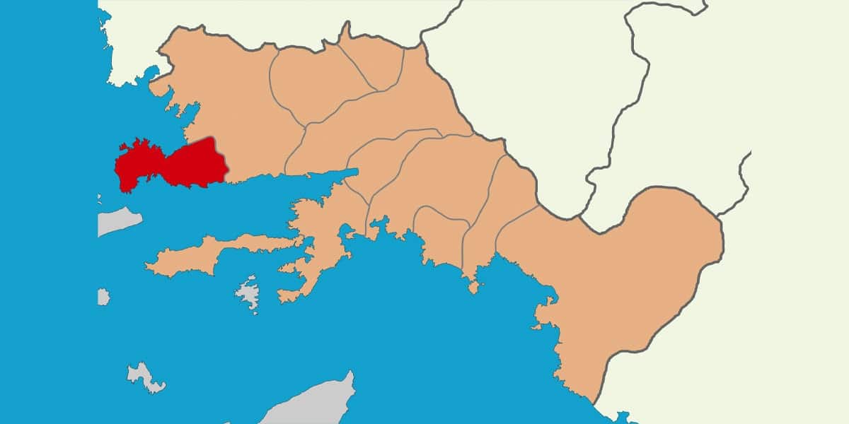 bodrum web tasarim görseli
