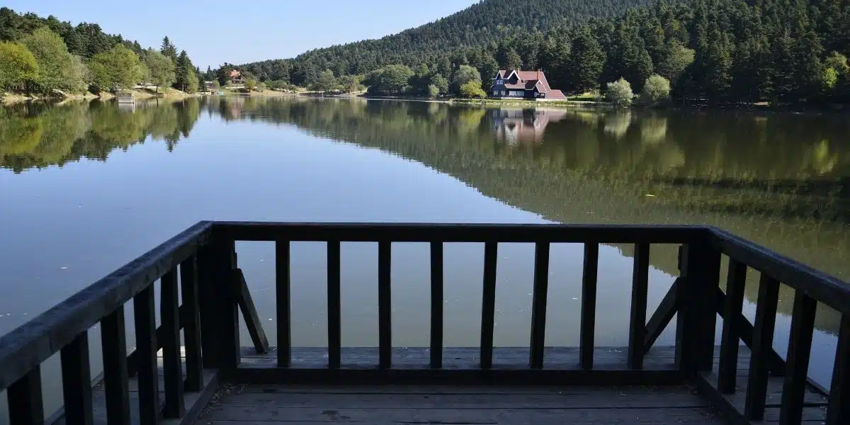 bolu google ads yönetimi
