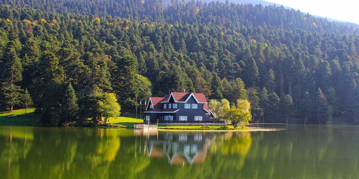 bolu sosyal medya yönetimi