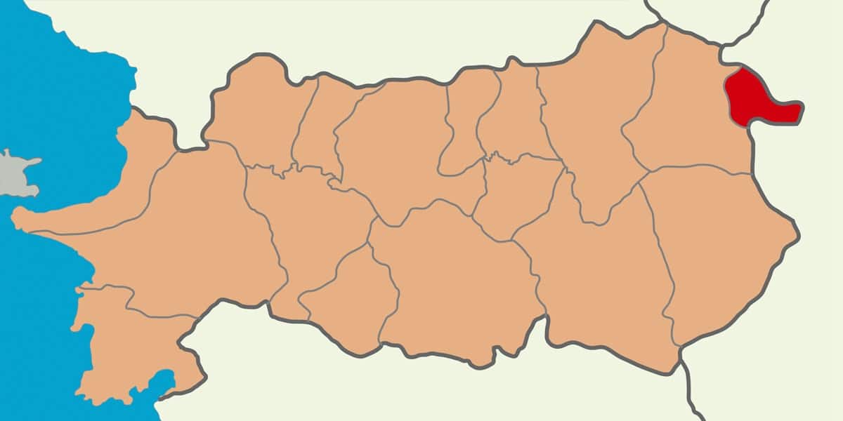 buharkent web tasarim görseli