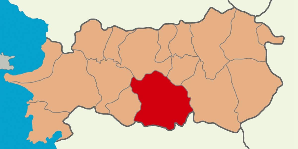 cine web tasarim görseli