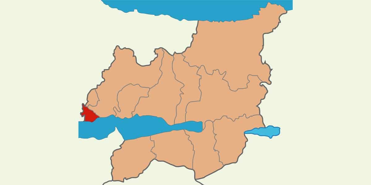 darica web tasarim görseli