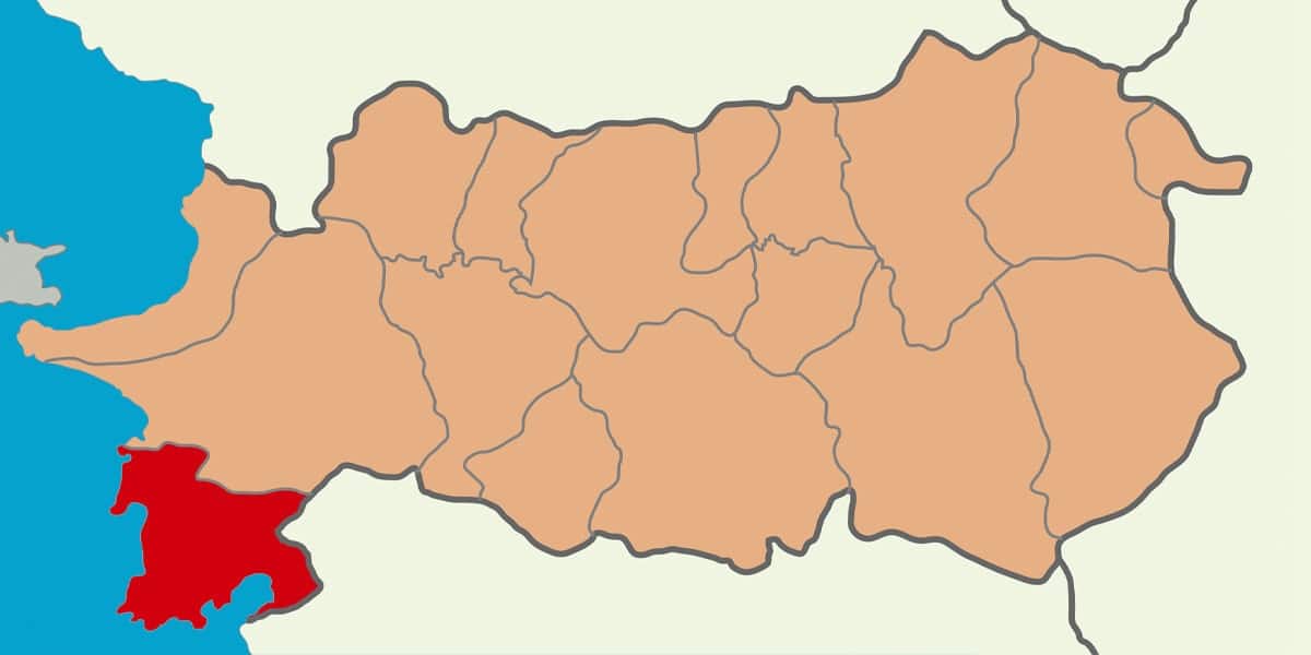 didim web tasarim görseli