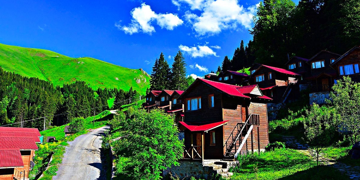 gumushane web tasarim görseli