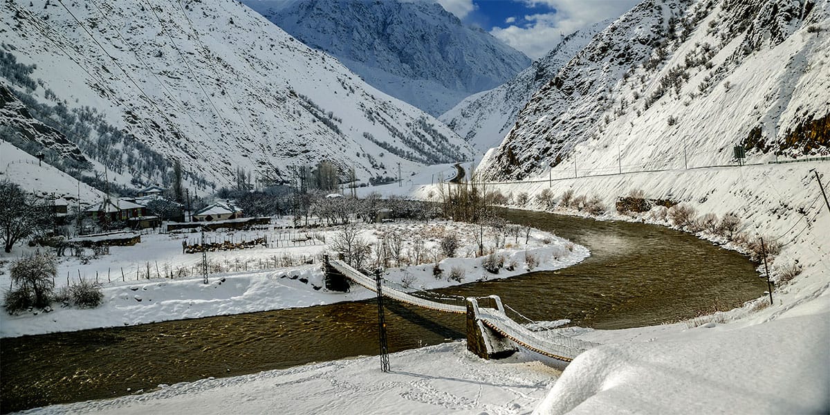 hakkari sosyal medya yönetimi