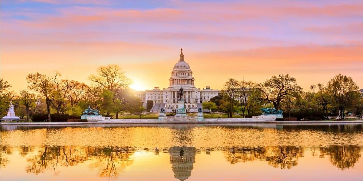 washington web tasarım görseli