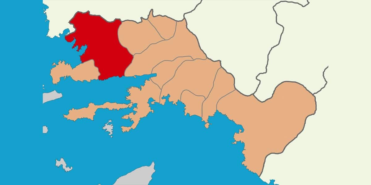 milas web tasarim görseli
