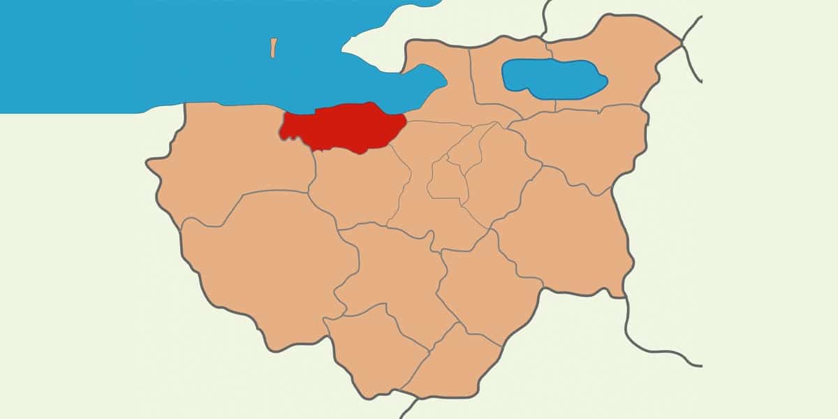 mudanya web tasarim görseli