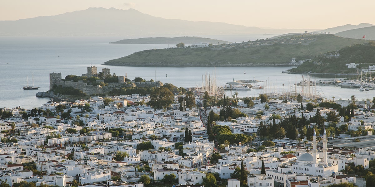 mugla sosyal medya yönetimi