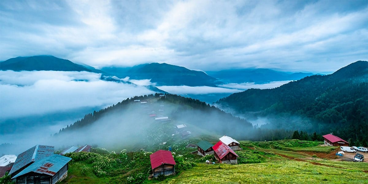 rize sosyal medya yönetimi