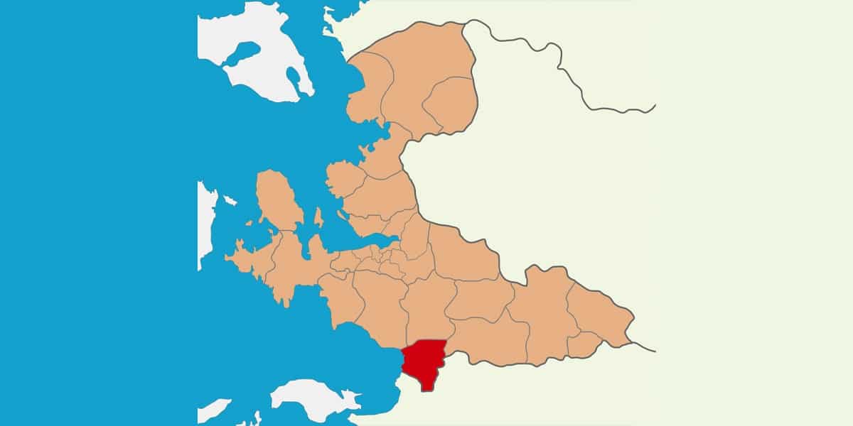 Selçuk web tasarım - Protan Reklam Ajansı