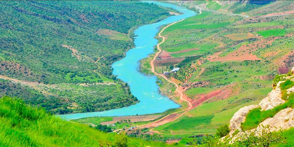 siirt sosyal medya yönetimi