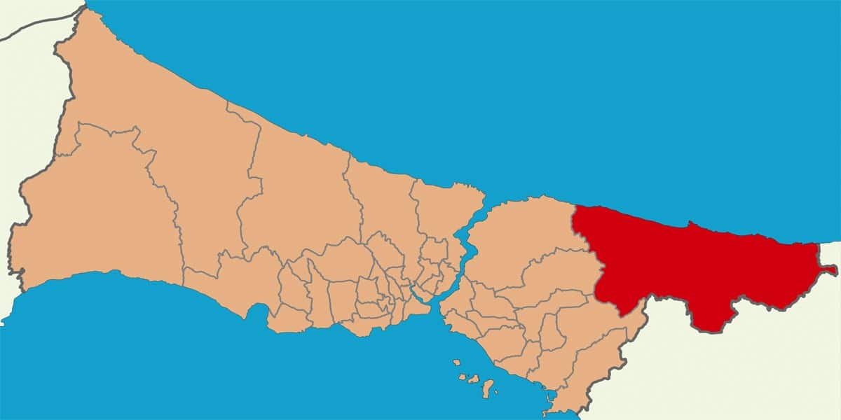 Şile web tasarım - Protan Reklam Ajansı