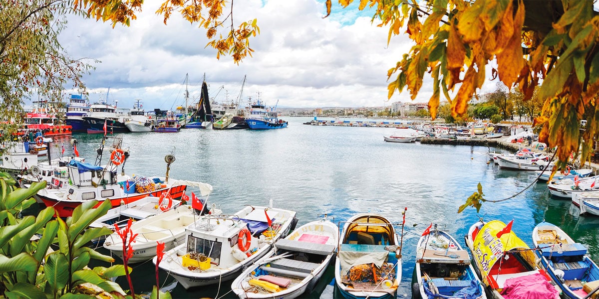 tekirdag sosyal medya yönetimi
