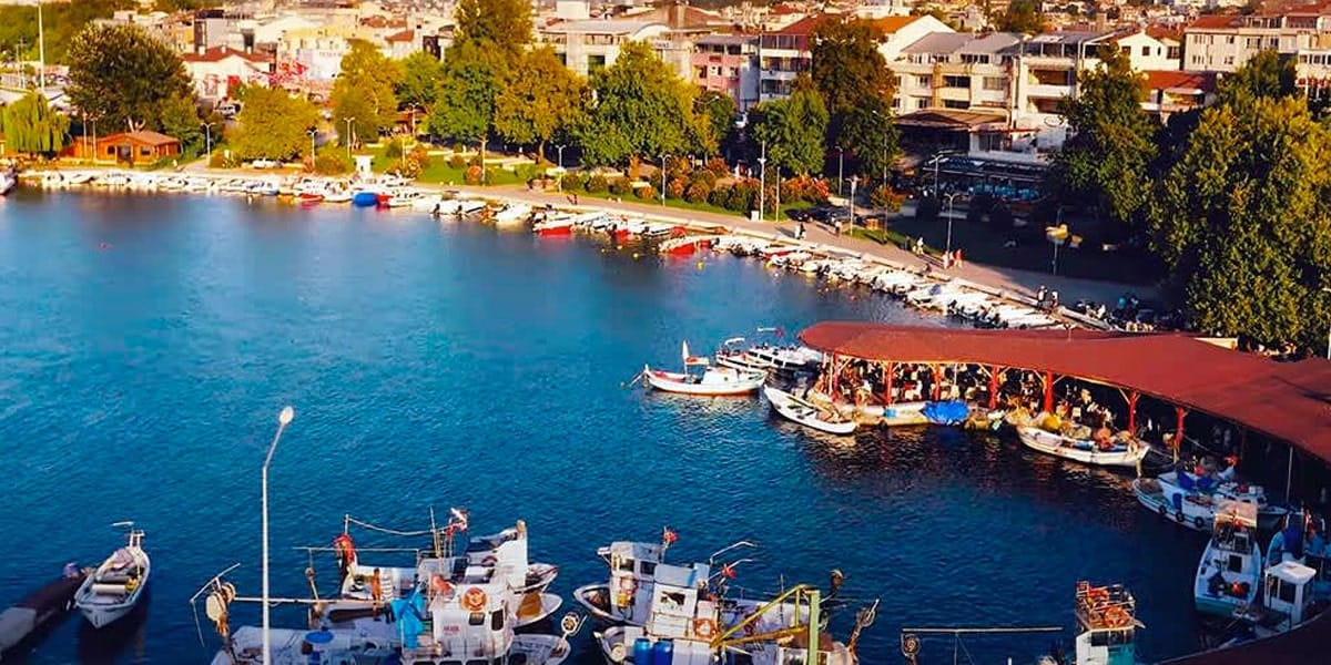 yalova sosyal medya yönetimi
