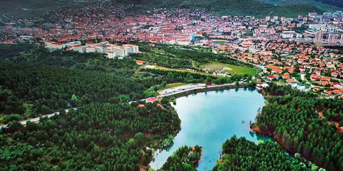 yozgat sosyal medya yönetimi