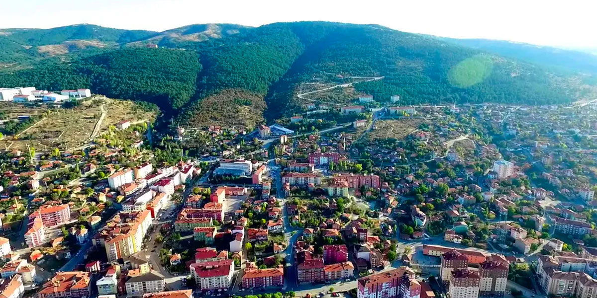 yozgat web tasarım - Protan Reklam Ajansı