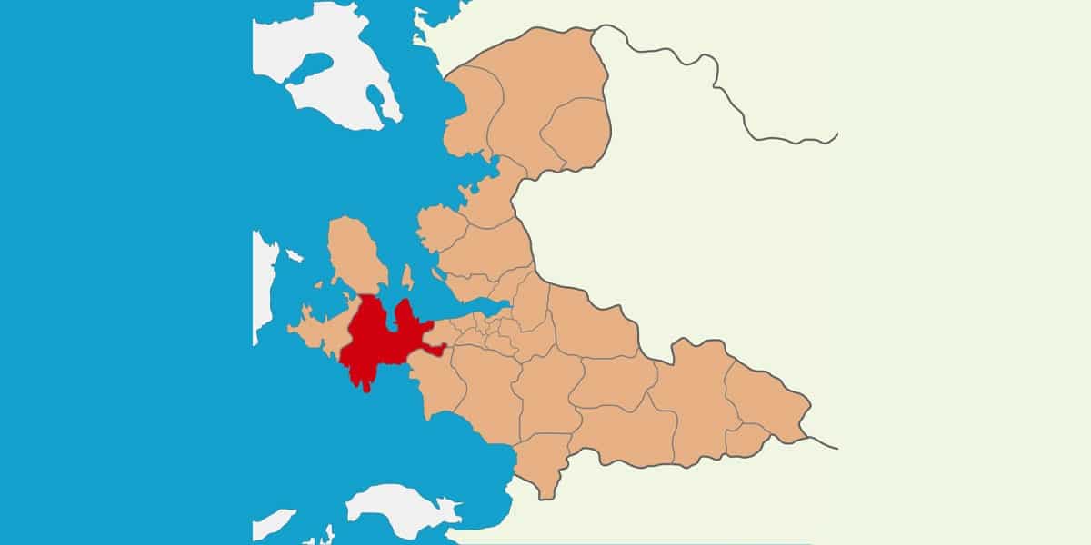 zeytinalani web tasarim görseli
