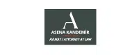 Asena Kandemir - Protan referansı