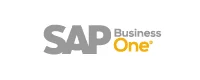 sap one