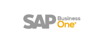 sapbusiness