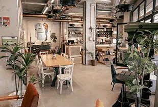 baristocrat web tasarım izmir ve istanbul