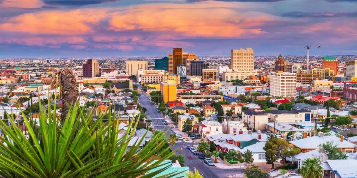 el paso web tasarım