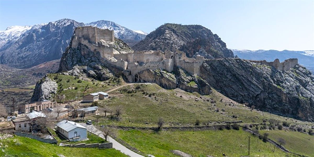 adıyaman sosyal medya yönetimi ajansı