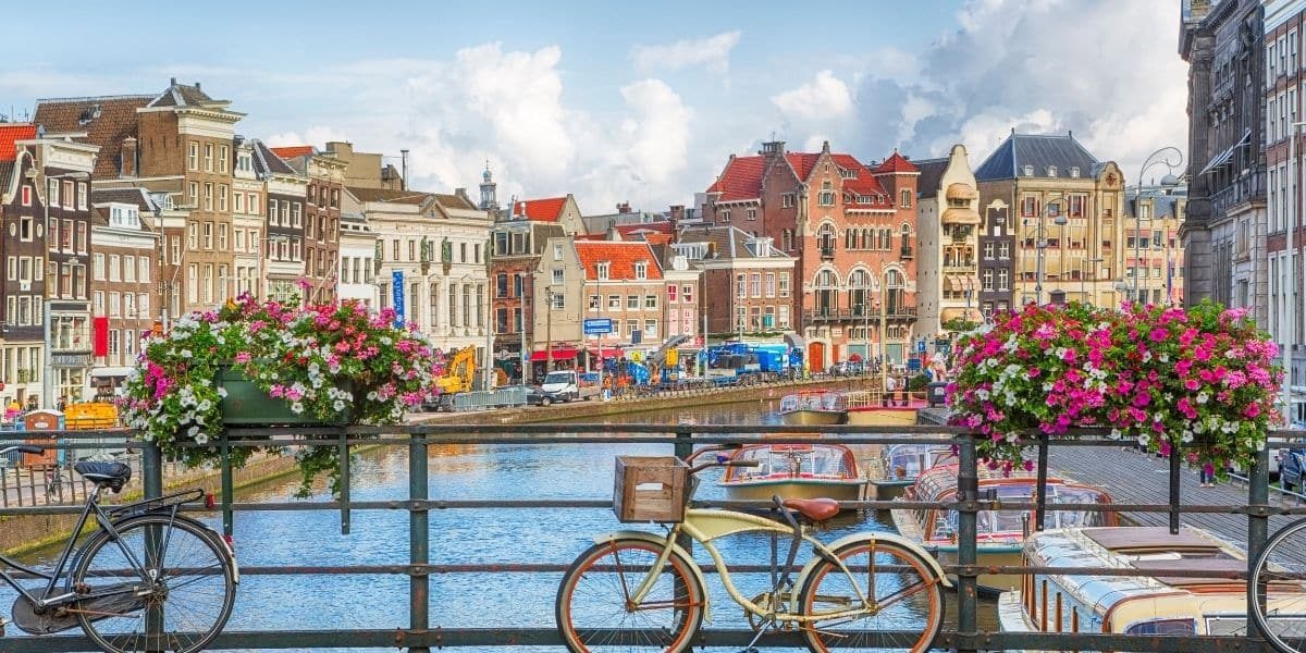 Amsterdam Web Tasarım