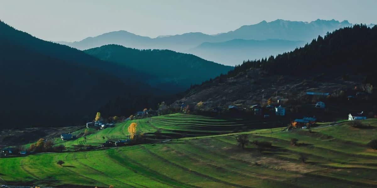 artvin google ads reklam yönetimi