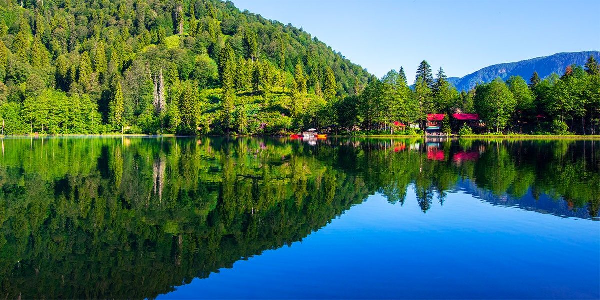 artvin sosyal medya ajansı