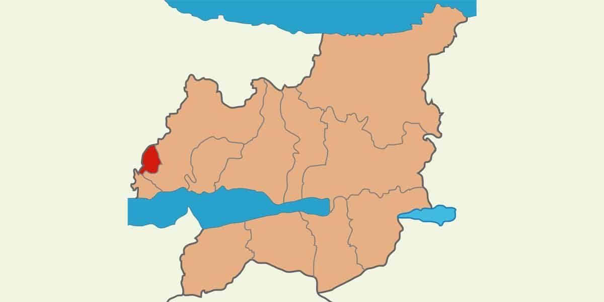 çayırova web tasarım