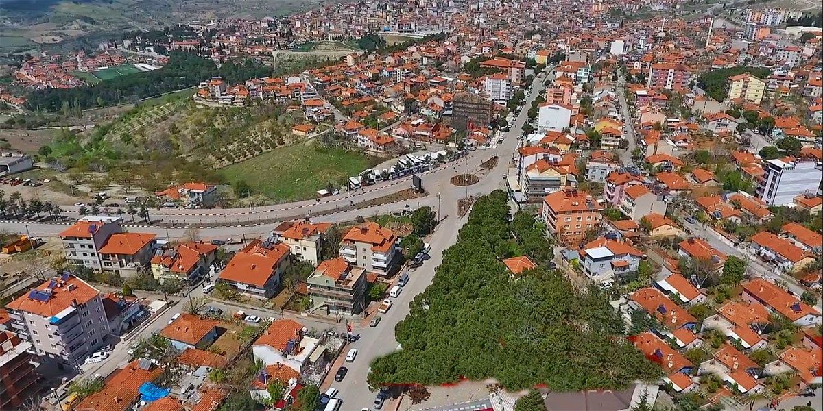 demirci web tasarım