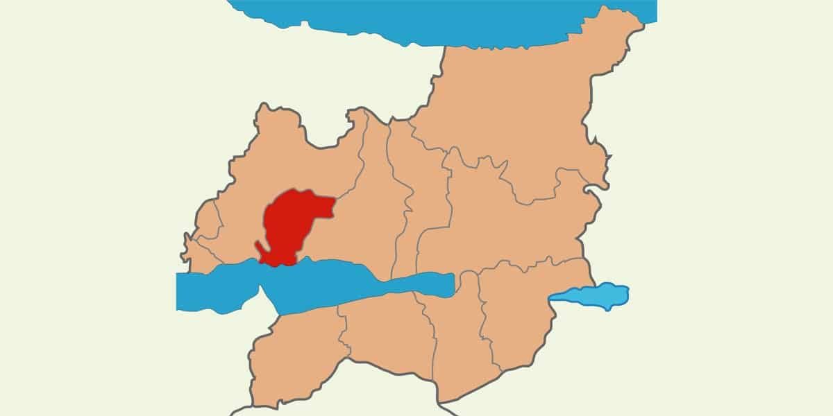 dilovası web tasarım