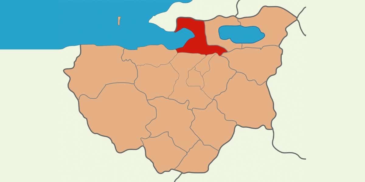 gemlik web tasarım