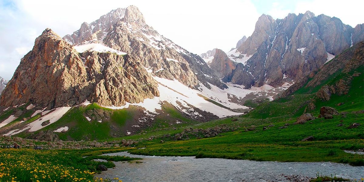 hakkari web tasarım