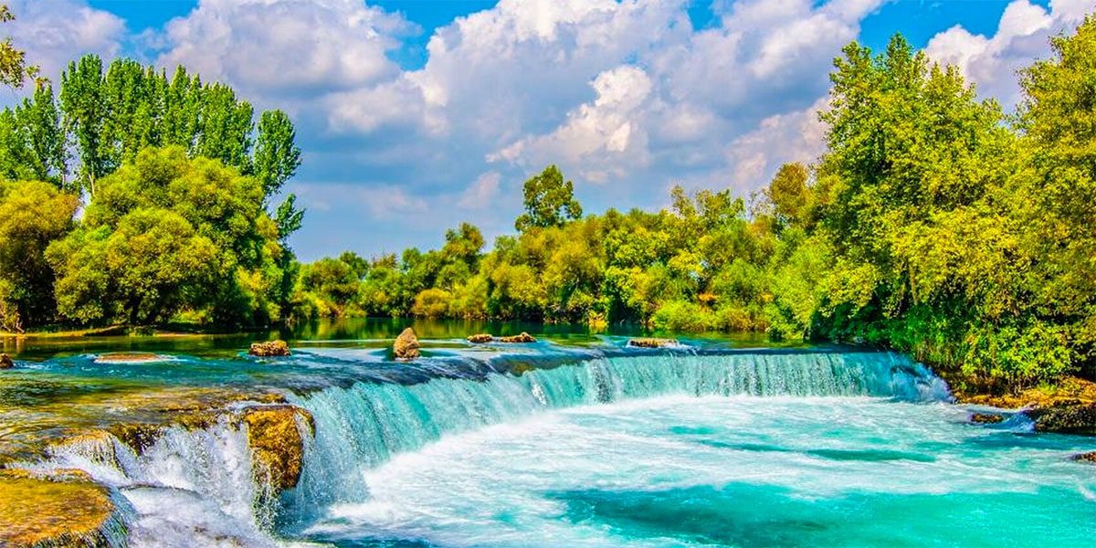 manavgat web tasarım