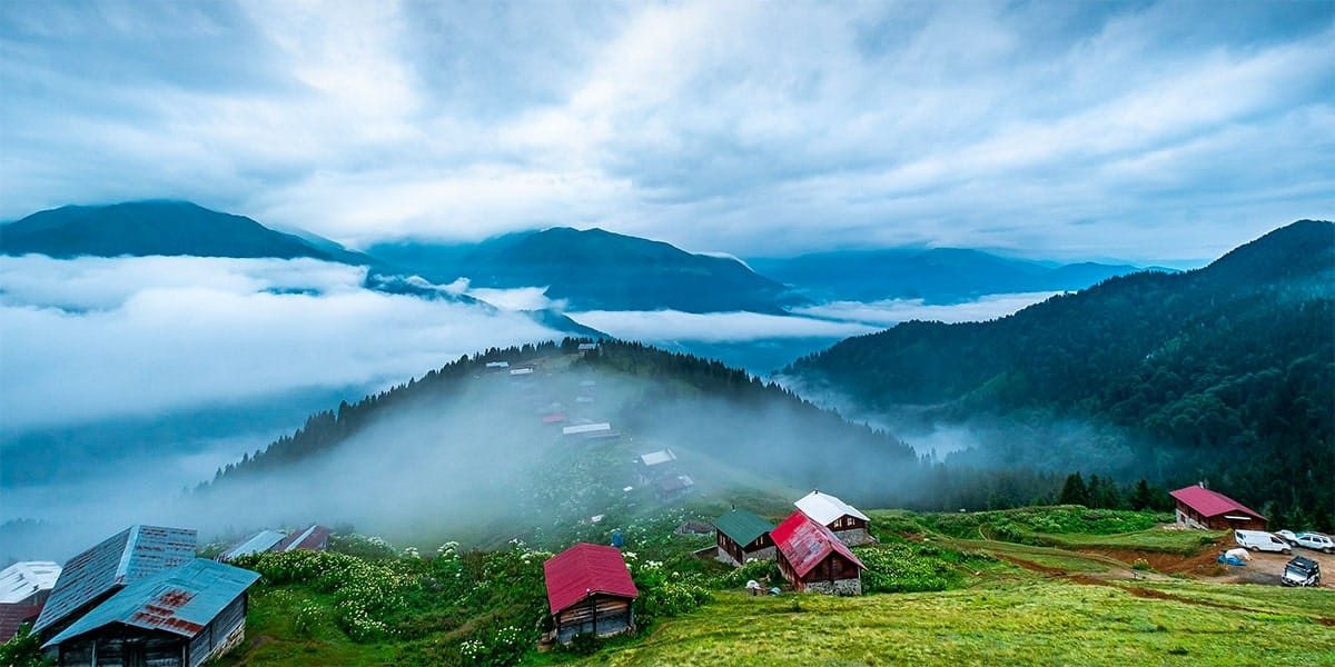 rize sosyal medya ajansı