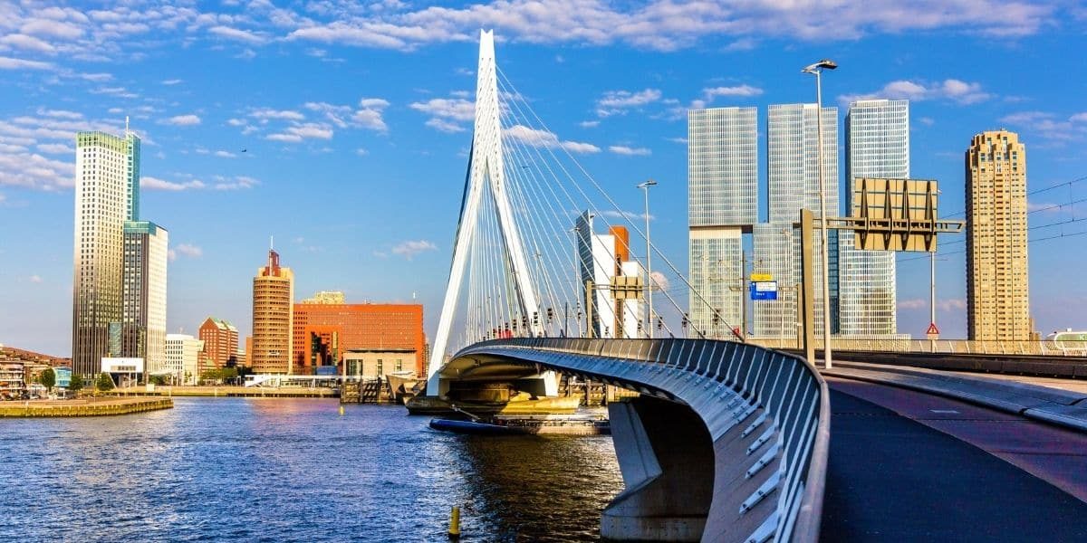 Rotterdam Web Tasarım