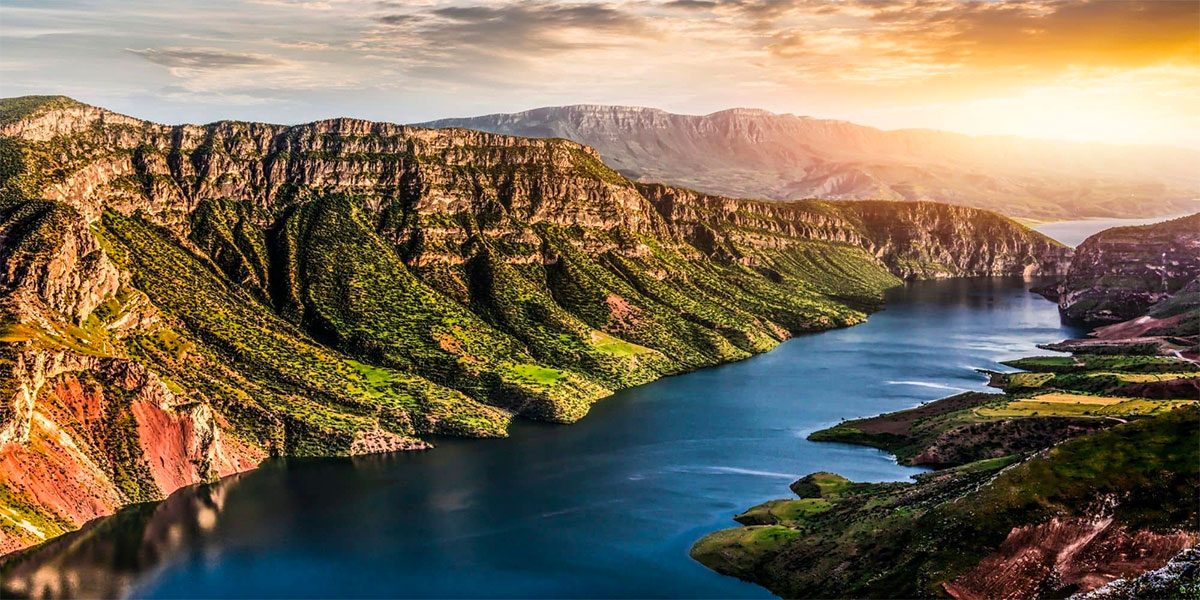 siirt web tasarım