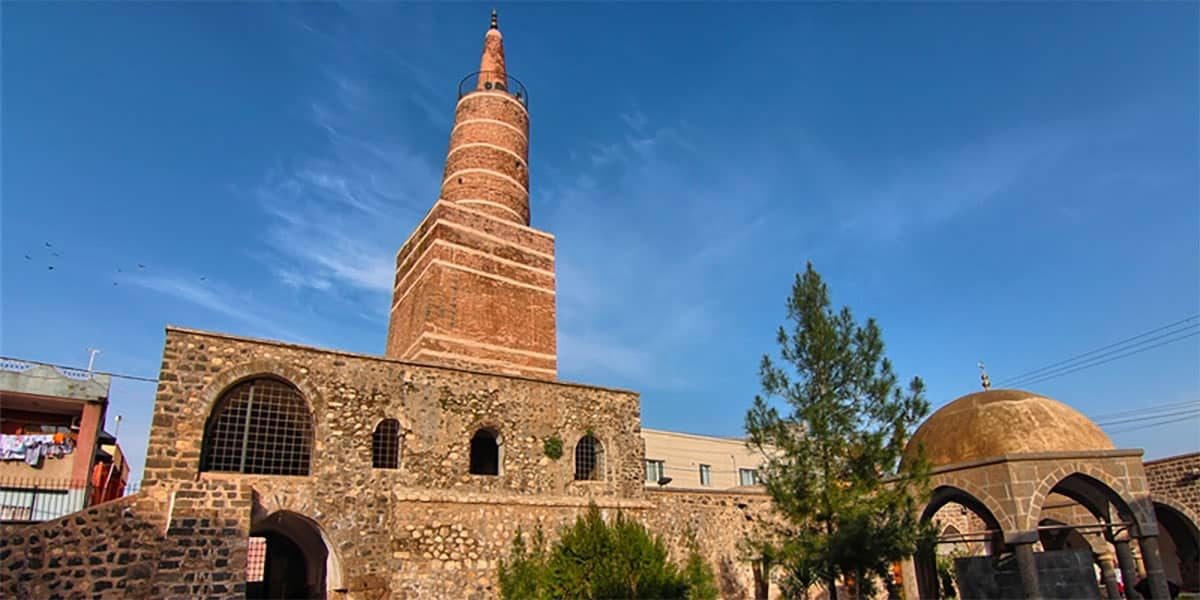 şırnak sosyal medya yönetimi ajansı