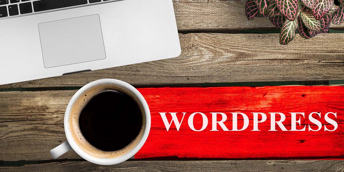 wordpress web tasarım